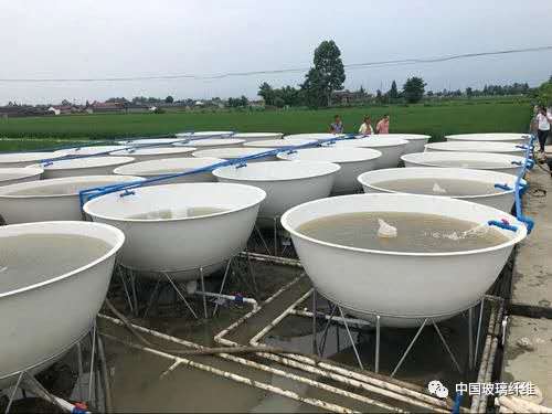 稻魚(yú)共生玻璃鋼養(yǎng)魚(yú)池